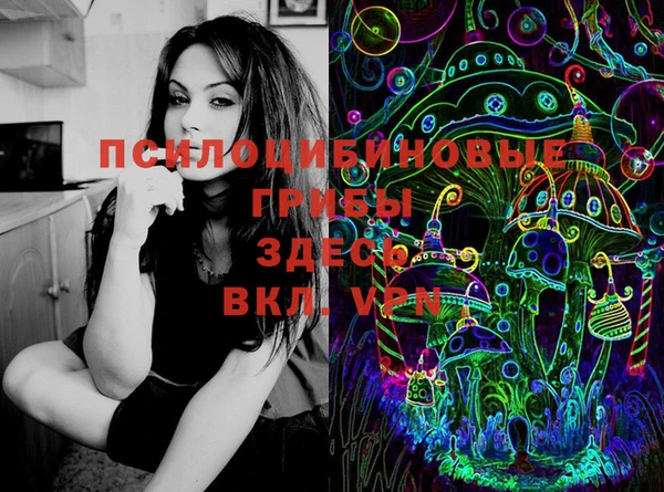 соль ск Верея