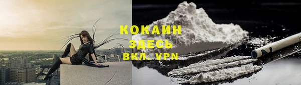 соль ск Верея