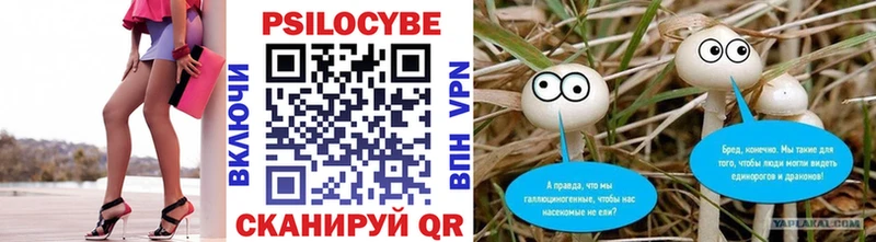 Галлюциногенные грибы мицелий  Купить закладки  Чердынь 